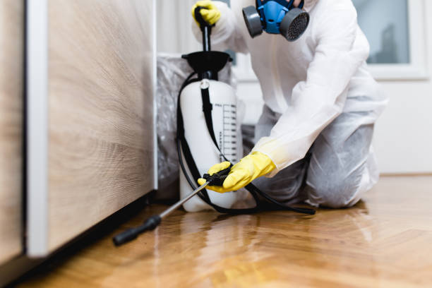 Best Affordable Pest Control Services  in Arlington Heights, IL
