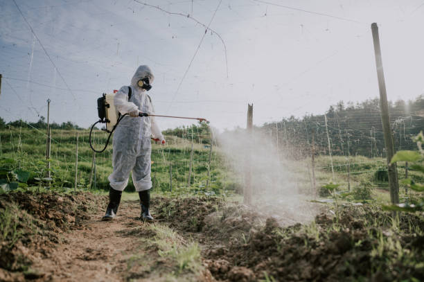 Best Mosquito Control Services  in Arlington Heights, IL