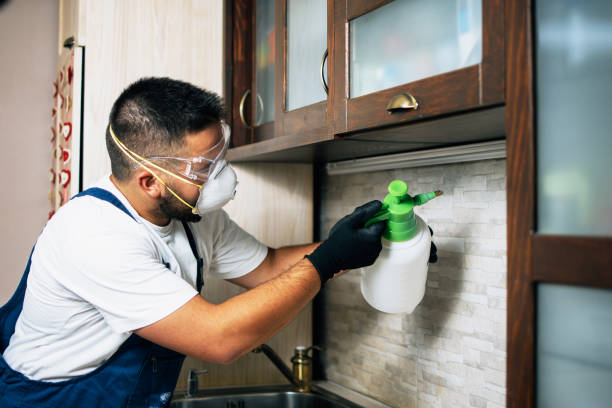 Best Pest Removal Services  in Arlington Heights, IL