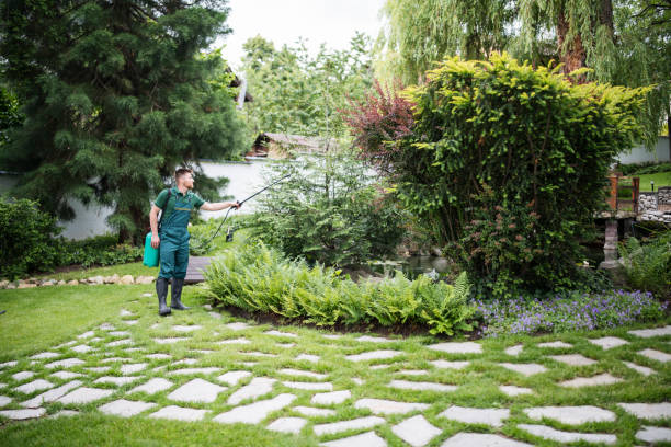 Best Local Pest Control Services  in Arlington Heights, IL