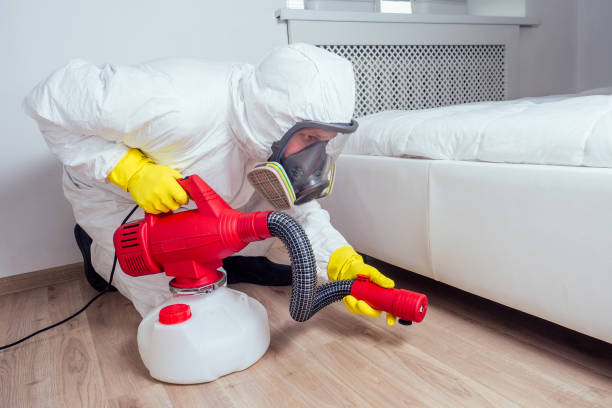 Best Pest Prevention Services  in Arlington Heights, IL