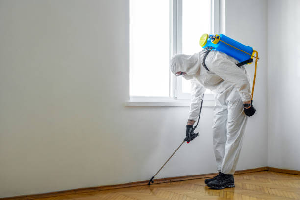Wildlife Control Services in Arlington Heights, IL