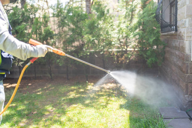 Best Pest Control Near Me  in Arlington Heights, IL
