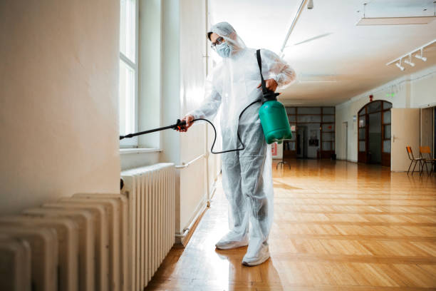 Best Rat Extermination Near Me  in Arlington Heights, IL