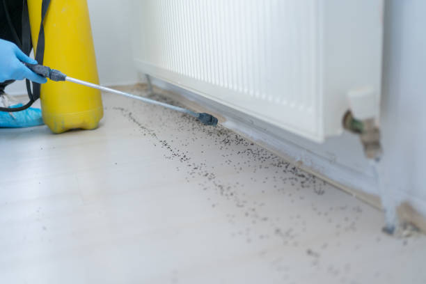 Best Best Pest Control Near Me  in Arlington Heights, IL