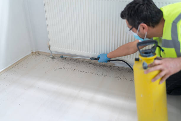 Best Pest Inspection Near Me  in Arlington Heights, IL