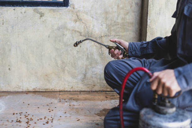 Best Pest Control Near Me  in Arlington Heights, IL